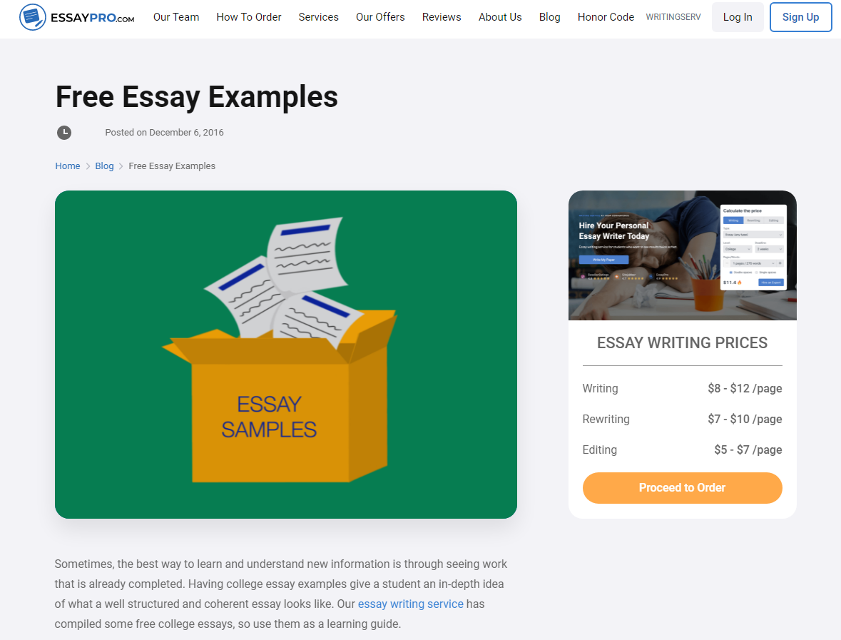 free essay sites
