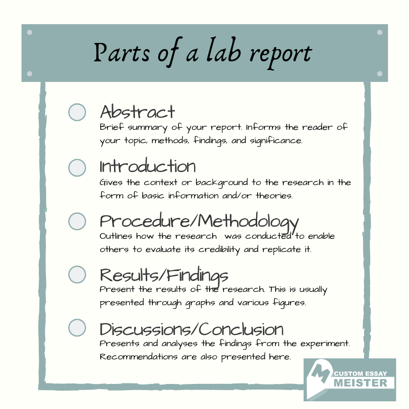 How To Write A Discussion For A Lab Report CustomEssayMeister