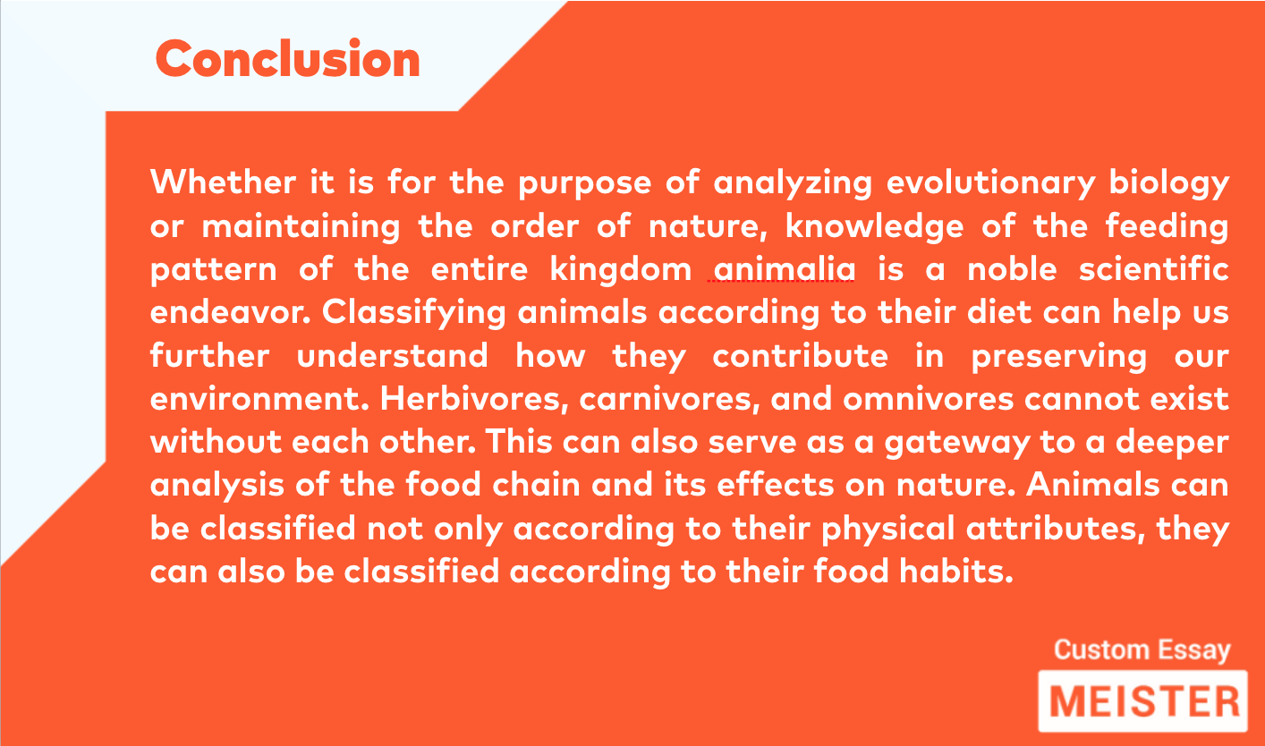 classification essay format