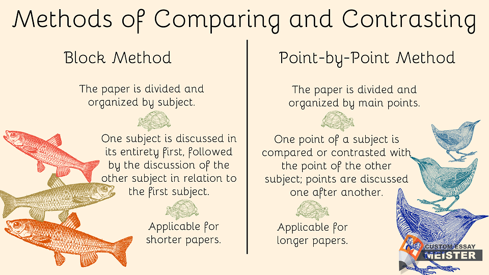compare and contrast essay organization methods
